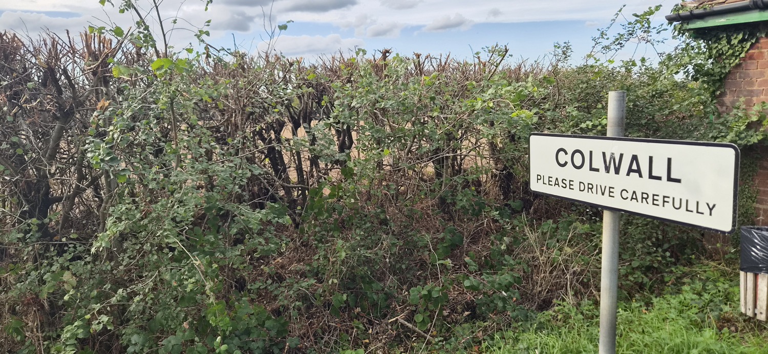 Grovesend%20Field%20210605