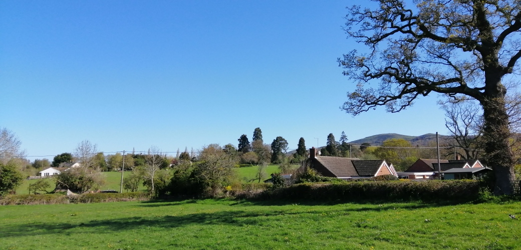 Grovesend%20Field%20230425